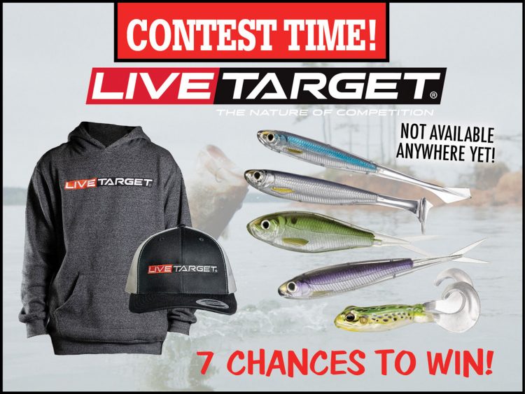 LIVETARGET Contest