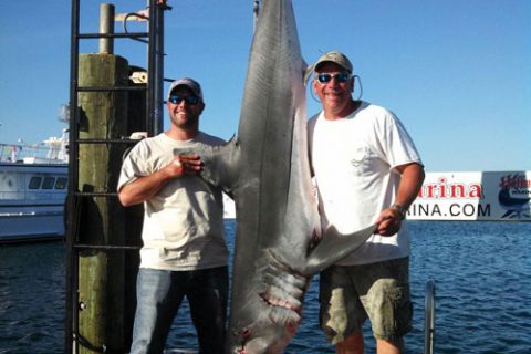 300 Pound Mako Shark Jumps Into Boat