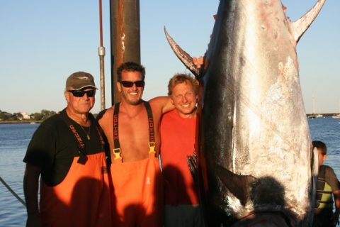 962-pound Bluefin Tuna Possible New Hampshire State Record