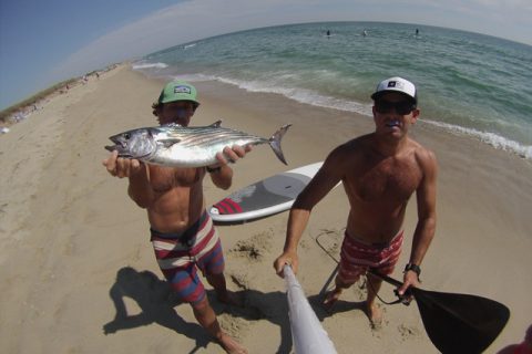 Reader E-Mail: Bonito From a Stand-Up Paddleboard