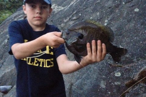 12 Year Old Catches and Releases Possible State Record Bluegill