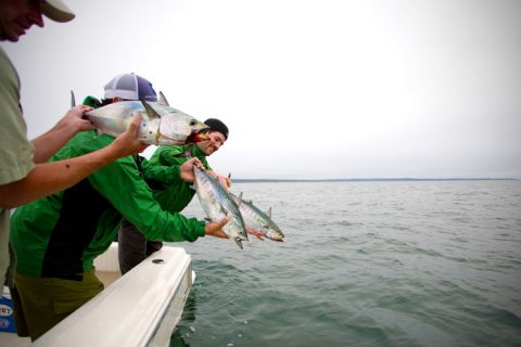 Albie Fishing at the End