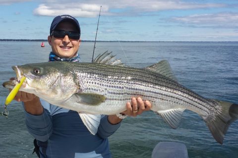 Reader E-Mail: Chasing Birds and Bass Off Watch Hill