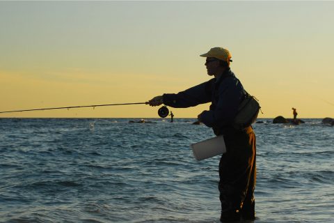 How to Choose the Right Leader Material