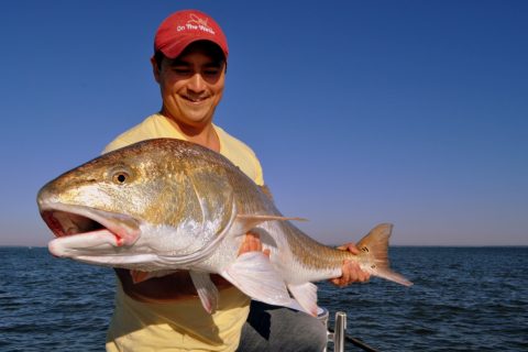 Trip Report: Hilton Head&rsquo;s Bull Redfish