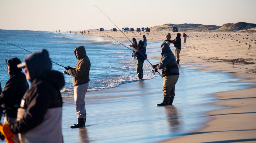 Island Beach State Park - Where to Fish for Striped Bass During the Fall Run