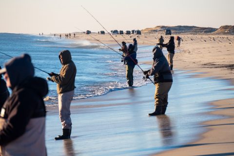 Island Beach State Park striper anglers