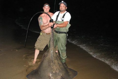 &ldquo;Weird Sea Creature&rdquo; Caught in Florida Also Found in Northeast