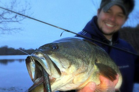 ACTION ALERT: Maine to Report on Soft-Bait Ban