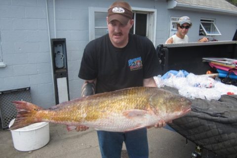 Are “Lost” Southern Species a New Angling Opportunity?