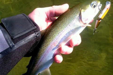 Windy Winter Weekend