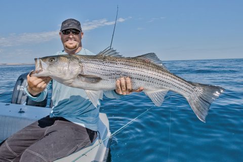 2019 striper migration