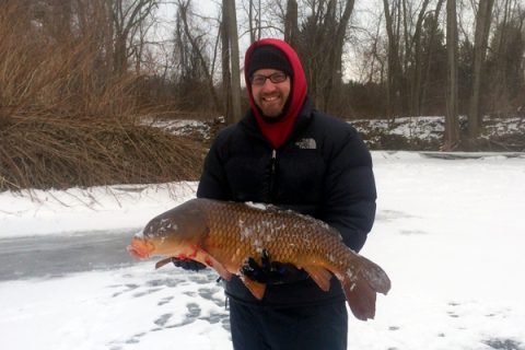 Potential Ice Fishing World Record Carp Caught on Housatonic River