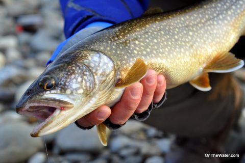 2014 NH Landlocked Salmon Season to Open April 1