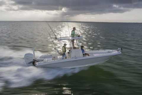 Boston Whaler 240 DAUNTLESS PRO