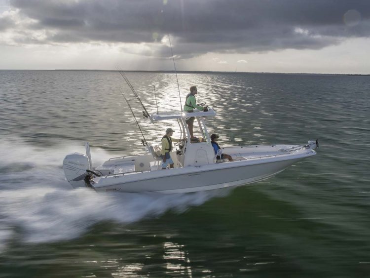 Boston Whaler 240 DAUNTLESS PRO
