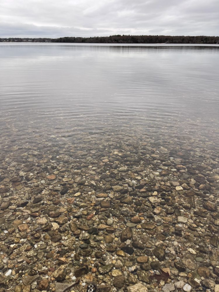 Most kettle ponds are on the smaller side and offer peace and solitude for anglers in canoes and kayaks.