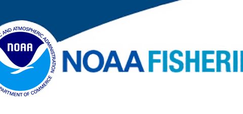 NOAA Fisheries to Develop Recreational Fishing Policy