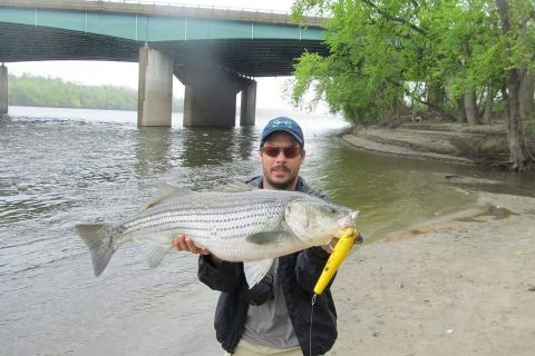 Fishing CT Update 5-22-14