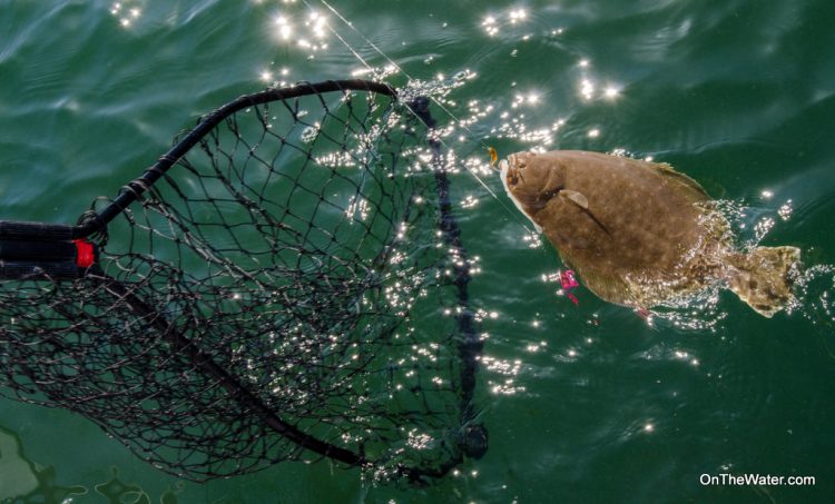 Don't let your fluke rig just drag behind the boat. Give it some action and you'll attract more fluke.
