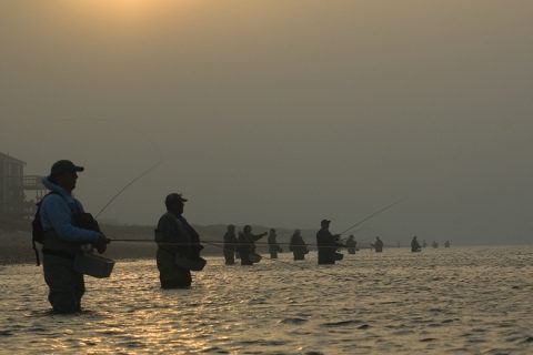 Saltwater Fly Fishing for Beginners