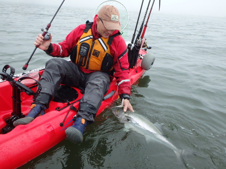 Stripers were tough to come by, but big bluefish filled in the gap.