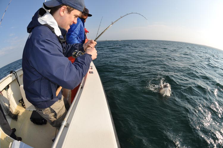 Lift the rod high on the set but then reel steadily or with short strokes.