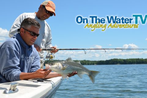 This Week&rsquo;s Online Episode: Casco Bay Stripers & Lobsters