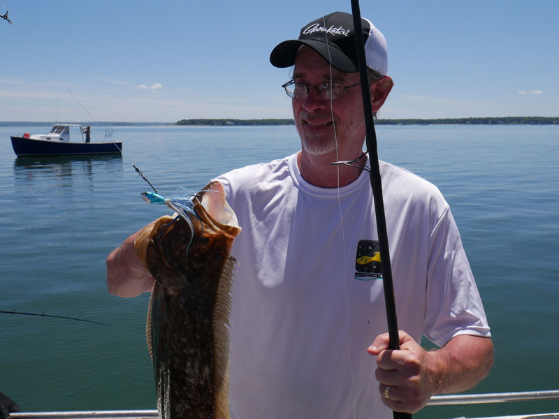 fluke on SPRO bucktail