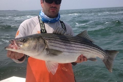 Fishing CT Update 6-19-2014