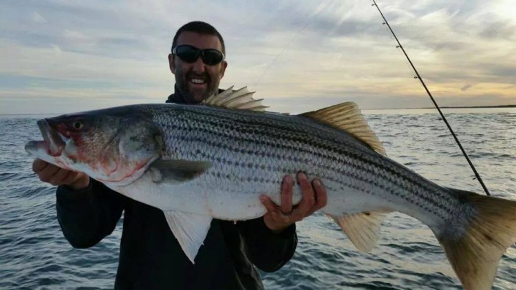 10408942_10152290560208366_8276829996456670120_n