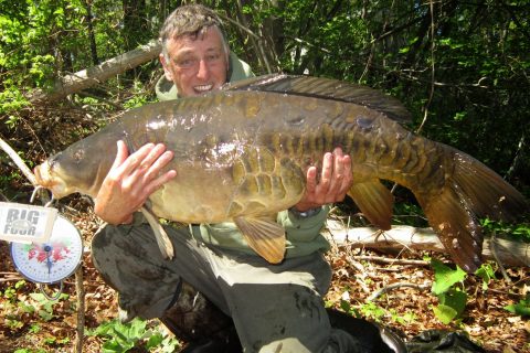 40-Pounder Wins Biggest Mirror Carp