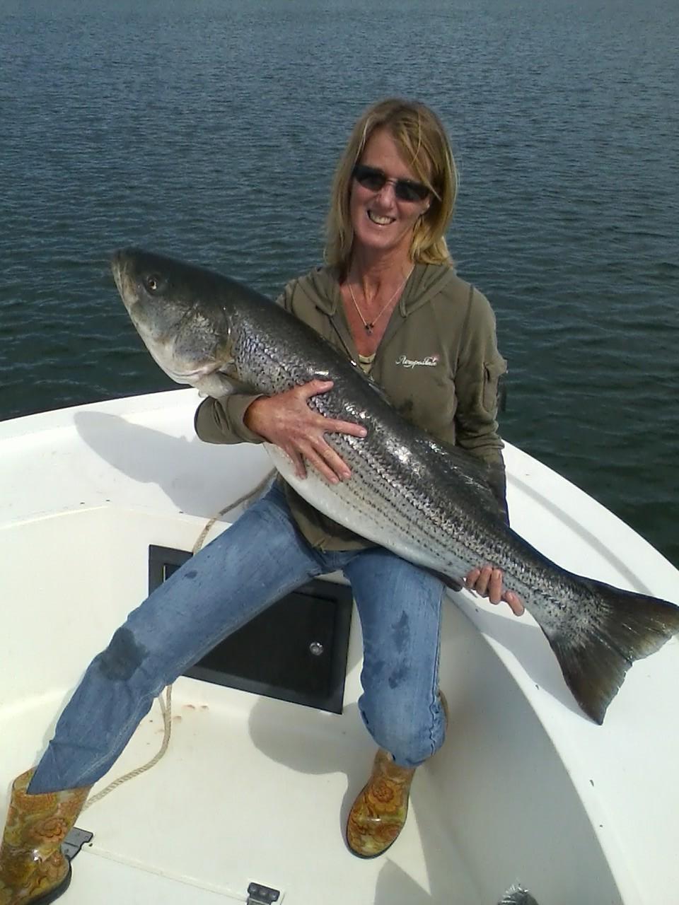 Brenda Maimone, wife of Capt Ray Maimone, with a 49 inch, 45 pound striped bass caught on her first cast of the 2014 season. The fish ate a chunk mackerel off the coast of Rye, NH.