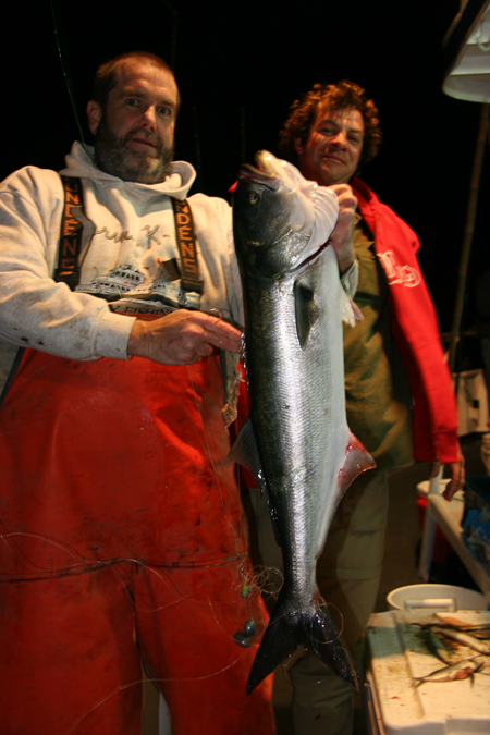 Nighttime bluefishing is a great way to get novice anglers hooked up with one of the hardest- fighting fish in the Northeast.
