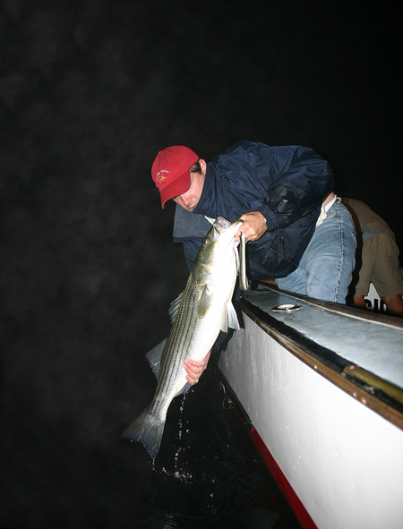 If you think the fishing is good around Block Island by day, you should be delighted by what goes on once the sun is down. Large stripers school up around the island’s structure and put on the feedbag. This fish was taken at Southwest Ledge on a live eel, one of the favorite baits of island fishermen. -photo by Andy Nabreski