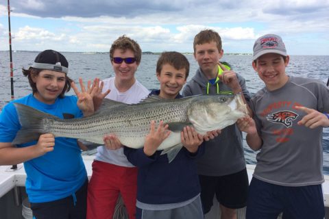 States Weighing Striped Bass Regulation Options for 2015