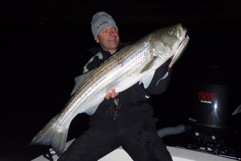 Top Tips for Big Mass Stripers