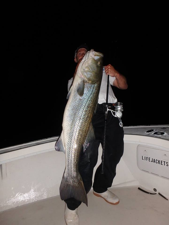 Mike Roy of Reel Cast Charters with one of many cow bass that came over the rails during the full moon weekend.