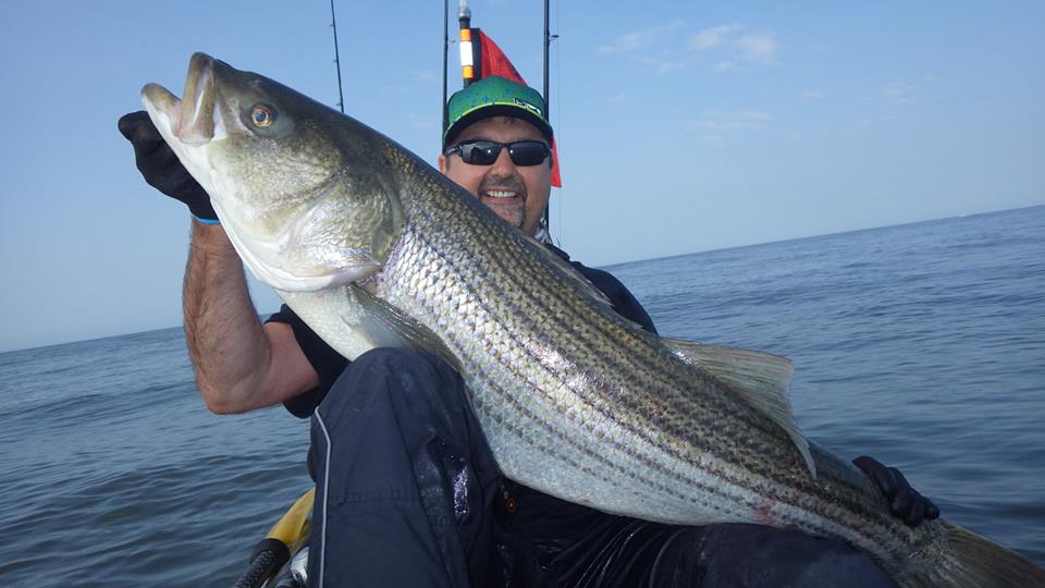 Vic Kadziela with a 46" bass taken last week.