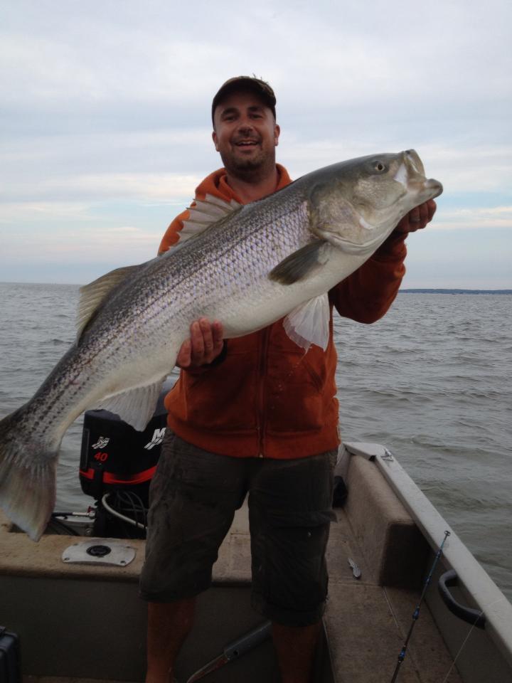 Jim Preste shows off a 45" Long Island Sound bass.