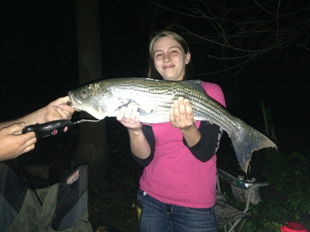 Amber Wechsler of Kunkletown is proudly displaying a 30 inch striped bass that she recently caught at Beltzville Lake during the evening using chicken livers at bait.