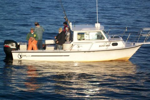 Massachusetts Bay Fishing Report (Black Rose Charters)
