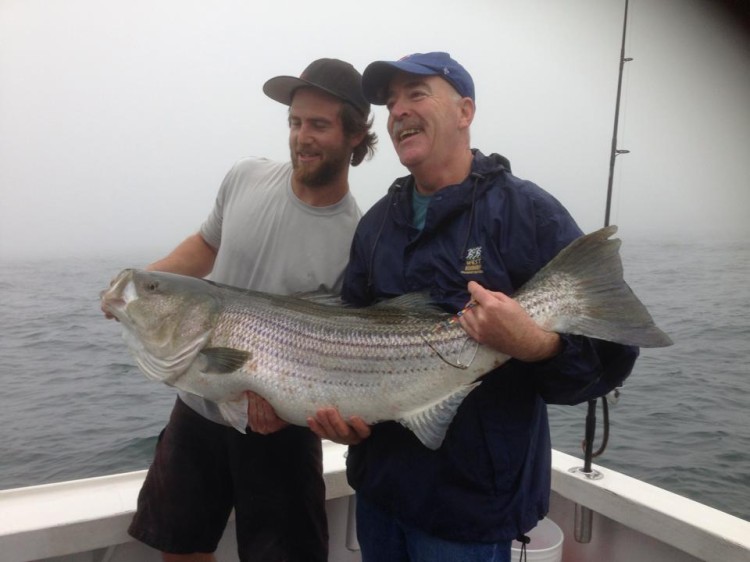 Rob Taylor of Newport Sportfishing Charters assists in hoisting up this 50-pound bass taken on a recent trip.