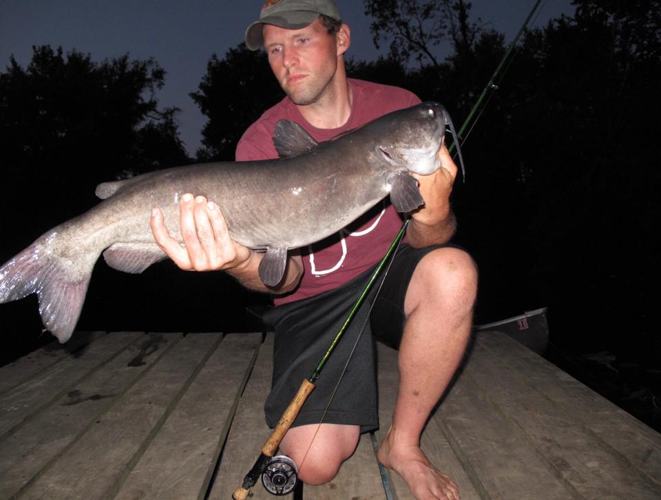 Josh Day of Mill Hall, caught this nice 31inch channel catfish on Bald Eagle Creek near Lock Haven using a streamer pattern! Congratulations Josh! Photo by Josh Day