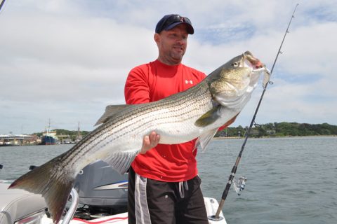 Complete Schedule of Striped Bass Management Public Hearings