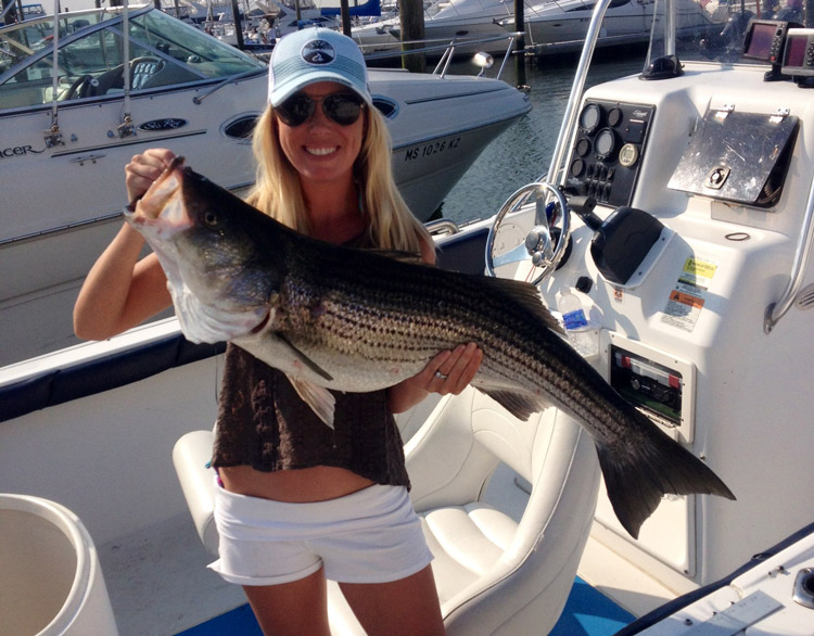 Kristen with a 38-inch bass caught this week off Nantasket beach.