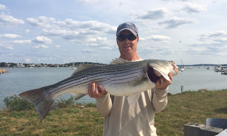 Matthew McDonald caught and released this bass in Hull this past Saturday.