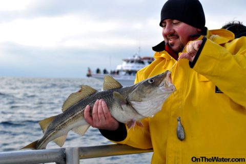 Massachusetts Proposes Change of Cod Limits in State Waters