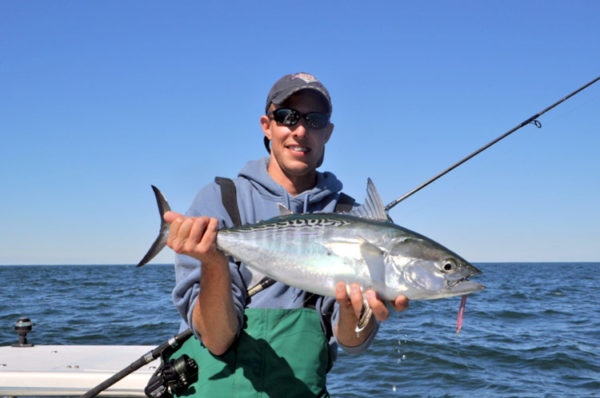 Without a doubt, you will have much more success hooking into albies by boat than you will on a beach.