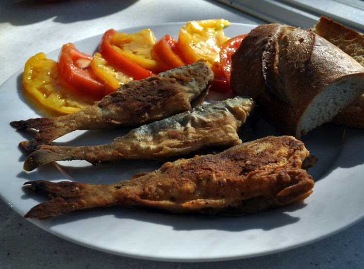 Pan-fried until golden brown, snapper blues match well with the season's ripe garden tomatoes.